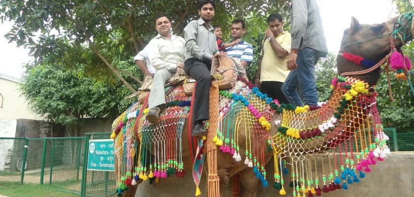 Day-Out at PratapGarh Farms