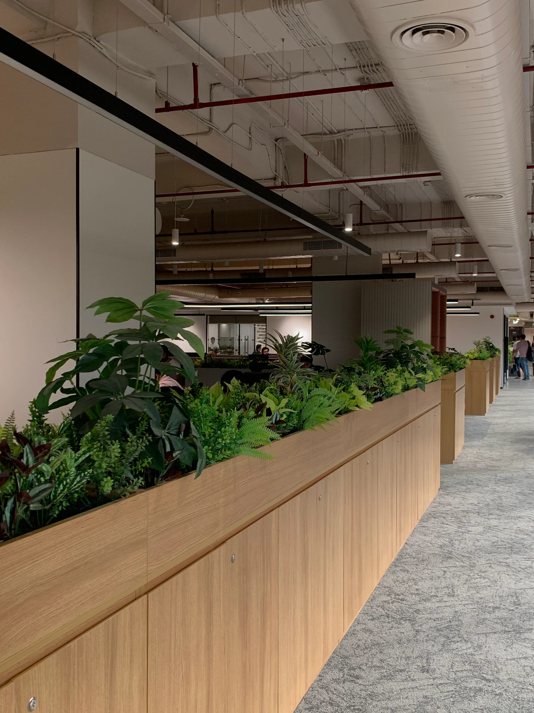 A planted collaboration corridor in Vinove's Noida workplace